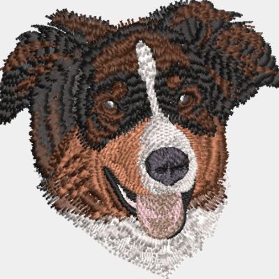 Kelpie dog Thumbnail