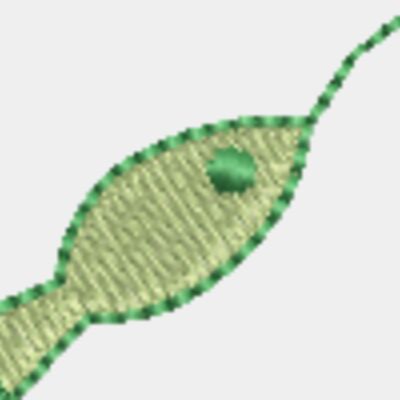 Fisher bear FW Thumbnail