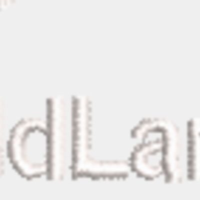 BL White logo Corporate Thumbnail